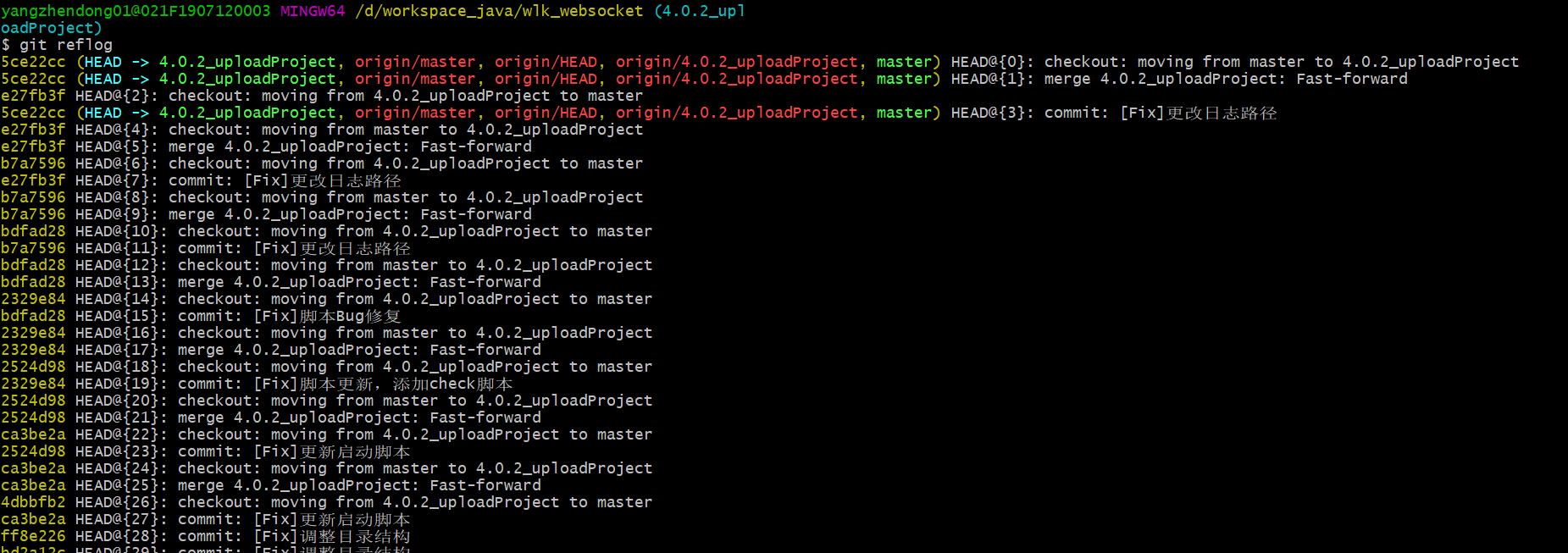 git_force
