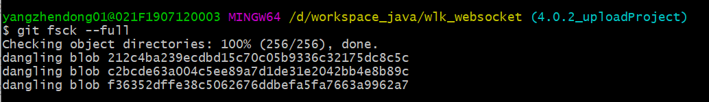 git_fsck
