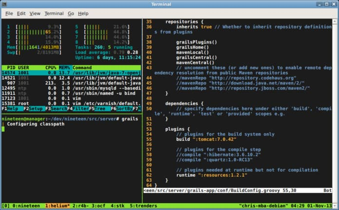 tmux-cg